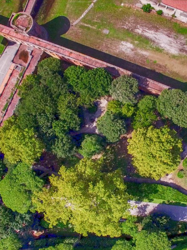 Giardino-Scotto-jovann